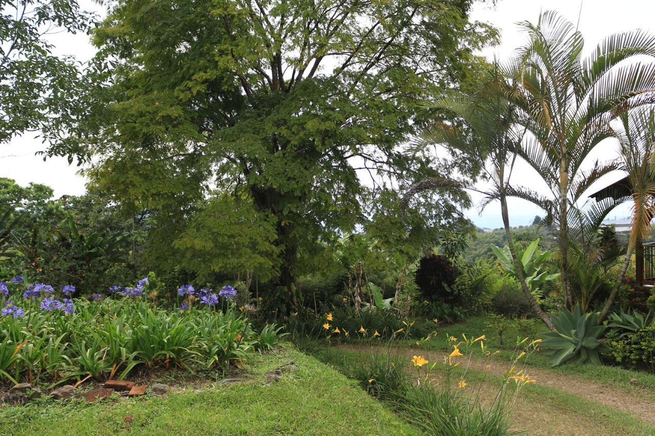 Finca Chalet La Tawa Sevilla  Ngoại thất bức ảnh